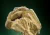 Polybasite