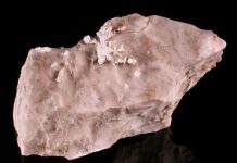 Probertite