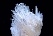 Powellite