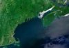 A global view of oceanic phytoplankton