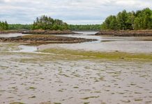 What geology has to say about global warming