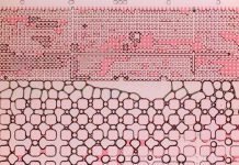 Foam favorable for oil extraction