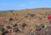 Shell clusters reveal Pilbara’s cyclone past