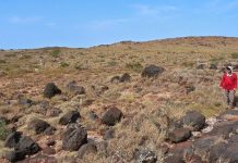 Shell clusters reveal Pilbara’s cyclone past
