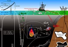 Scientists caution against exploitation of deep ocean