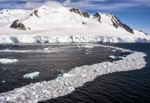 Antarctic ice sheet is result of carbon dioxide decrease, not continental breakup