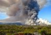 History of fire and drought shapes the ecology of California, past and future