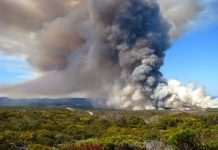 History of fire and drought shapes the ecology of California, past and future