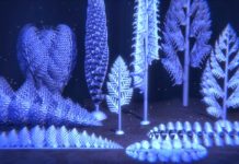 Reconstructions show how some of the earliest animals lived — and died