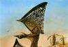 New species of flying pterosaur