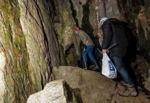 Microbes can create dripstones in caves