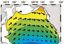 Pacific plate shrinking as it cools