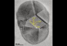 Nanodiamonds are forever “A comet collision with Earth played a major role in the extinction”