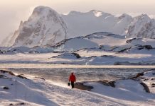 A global temperature conundrum: Cooling or warming climate?