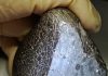 Martian meteorite: Implications of a newly discovered mineral-rich structure