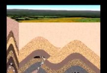 Formation of Hydrocarbon Trap
