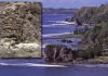 The Dawn of Plate Tectonics