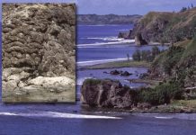 The Dawn of Plate Tectonics
