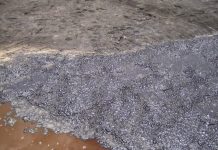 Water ‘microhabitats’ in oil show potential for extraterrestrial life, oil cleanup