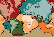 World’s tectonic plate movement mapped