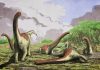 Paleontologists discover new species of titanosaurian dinosaur in Tanzania