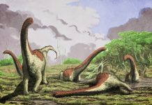 Paleontologists discover new species of titanosaurian dinosaur in Tanzania