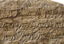 Study traces ecological collapse over 6,000 years of Egyptian history