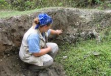 New study reconstructs mega-earthquakes timeline in Indian Ocean