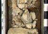 Study on global carbon cycle may require reappraisal of climate events in Earth’s history