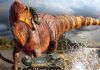 Hadrosaur with huge nose discovered