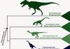 Dinosaur family tree gives fresh insight into rapid rise of birds