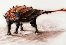 New dinosaur from New Mexico has relatives in Alberta