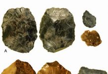 Innovative Stone Age tools were not African invention, say researchers