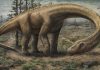 Dreadnoughtus: Gigantic, exceptionally complete sauropod dinosaur