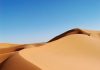 Sand dunes reveal biodiversity secrets in Australia