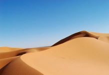 Sand dunes reveal biodiversity secrets in Australia