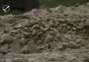 Debris Flow