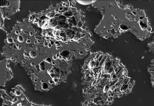 Prehistoric volcanic eruption leaves intercontinental footprint