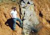 Strange formation on Colorado Rockies sheds light on Earth’s past