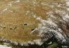 Snails Tell of the Rise and Fall of the Tibetan Plateau
