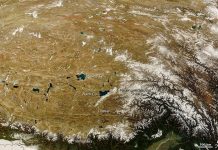 Snails Tell of the Rise and Fall of the Tibetan Plateau