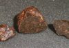Meteorite fragments discovered 20 years after bolide event in Czech Republic