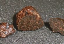Meteorite fragments discovered 20 years after bolide event in Czech Republic