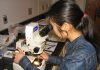 Microfossils reveal warm oceans had less oxygen