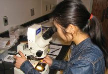 Microfossils reveal warm oceans had less oxygen