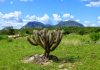 Evidence for huge mountains that fed early life discovered