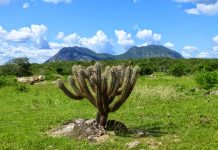 Evidence for huge mountains that fed early life discovered