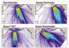 Massive debris pile reveals risk of huge tsunamis in Hawaii