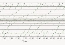Urban seismic network detects human sounds