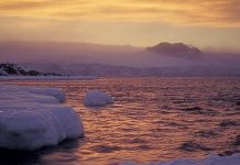 Tides stir up deep Atlantic Heat in the Arctic Ocean